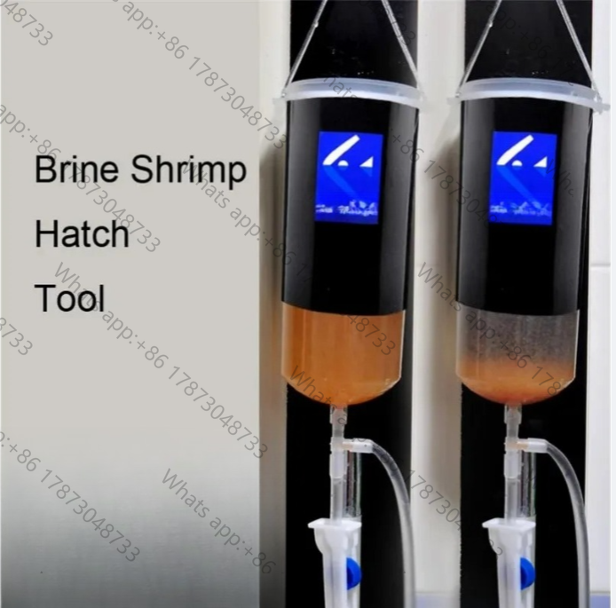 Baby Food Shrimp - Fairy shrimp egg artemia alive easy