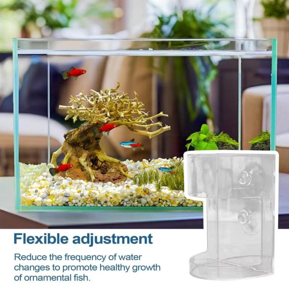 Acrylic Aquarium Feeders Ring  - огляд і ціна Baby Food Shrimp